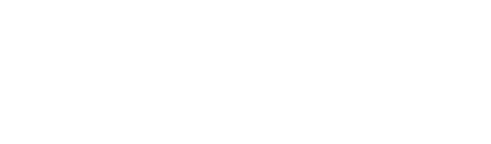 ГК «Интеллектуальная безопасность»